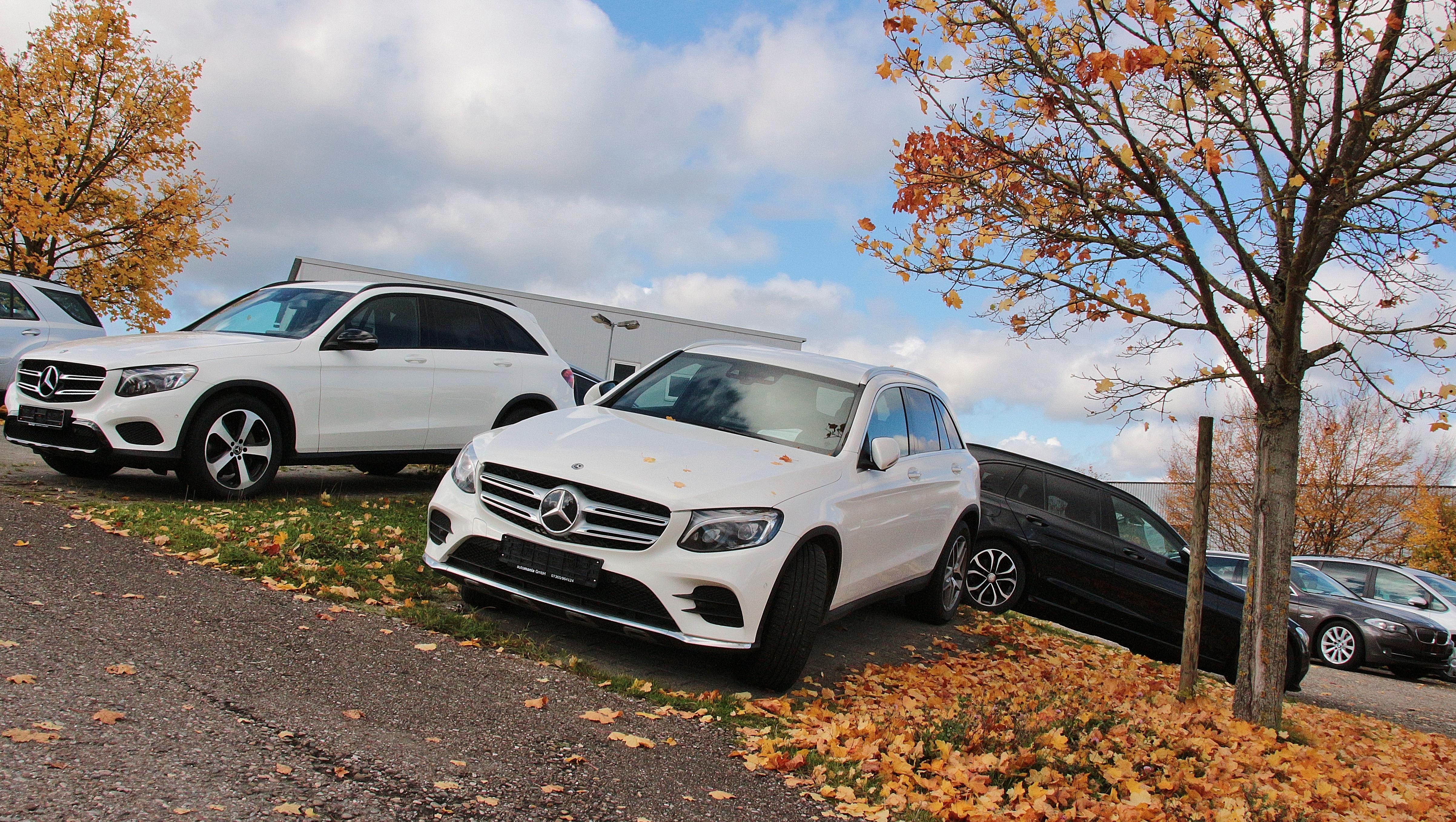 InMotion Gmbh Prosche